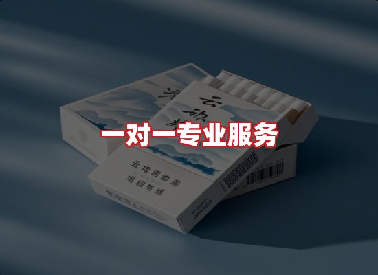 专业团队
